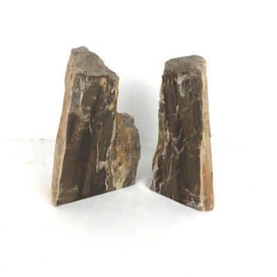 968 Pair Petrified Wood Bookends