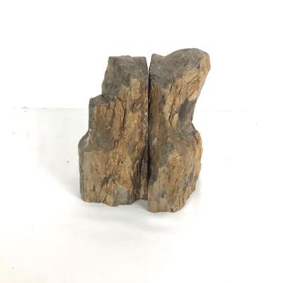 968 Pair Petrified Wood Bookends