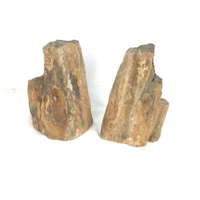 968 Pair Petrified Wood Bookends