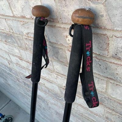 Tricks walking sticks