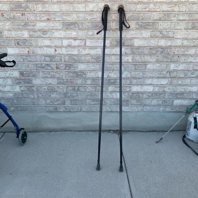 Tricks walking sticks