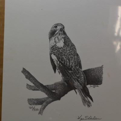 9.5"x6.5" Ken Schuler Red Tail Hawk Print 120/350 '89