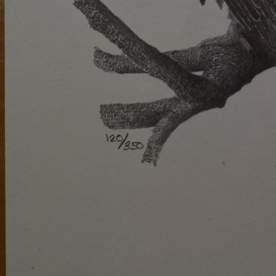 9.5"x6.5" Ken Schuler Red Tail Hawk Print 120/350 '89