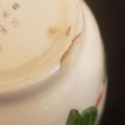 Vintage Franciscan Earthenware- Apple Pattern (DR-KD)