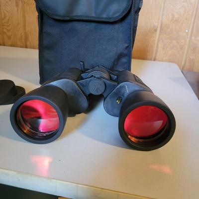 Nine Pairs of Binoculars (O-DW)