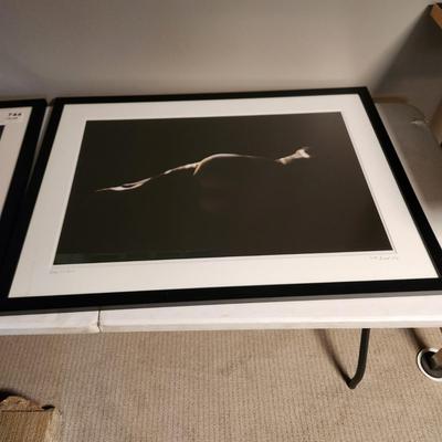 Framed Art Photo "Edge Lit Form" Signed 39x29