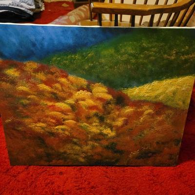 Thirty Wood Framed Canvases (M-RG)