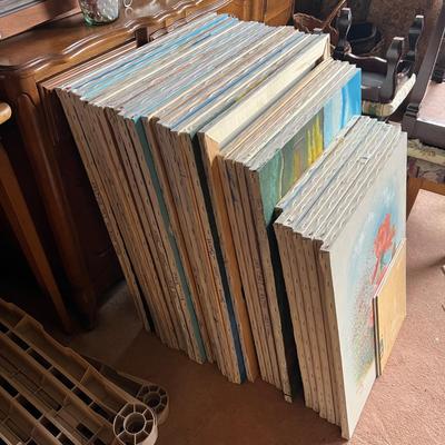 Thirty Wood Framed Canvases (M-RG)