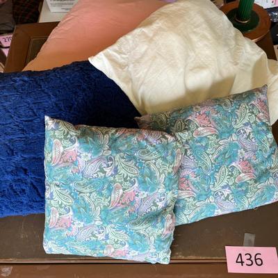 Assorted Throw Pillows