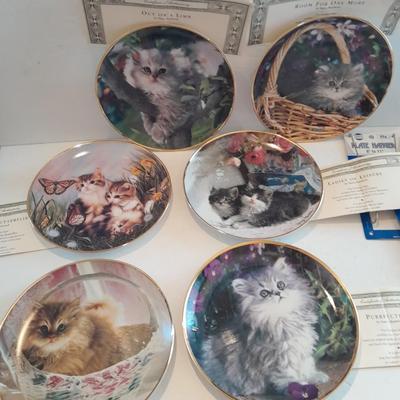 Six Franklin Mint Heirloom Numbered Limited Edition Persian cat plates with COA's