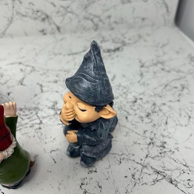 Naughty Gnomes