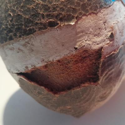 Very old and well-loved composition and cloth baby doll