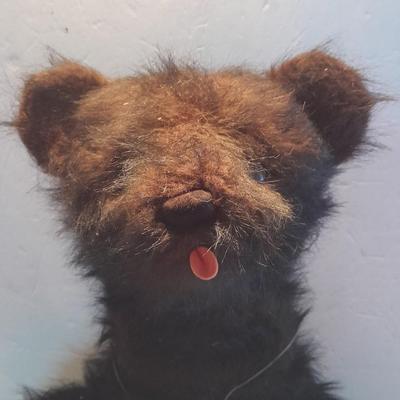 One of a kind VINTAGE 1963 "Oscar Jouet" Anima Paris Teddy bear made in France TALKING