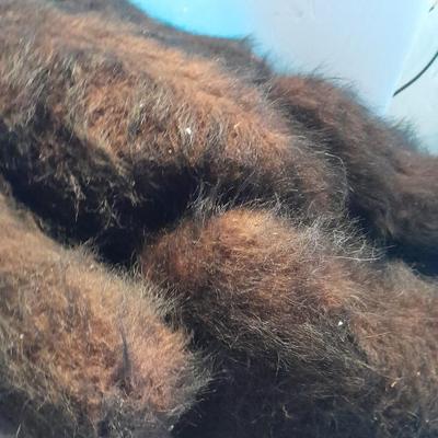 One of a kind VINTAGE 1963 "Oscar Jouet" Anima Paris Teddy bear made in France TALKING