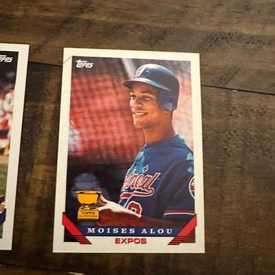 1993 Topps MLB Rookies