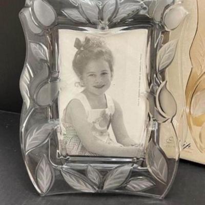 NEW Fifth Avenue Tulip Frosted Crystal Frame