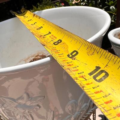 Big Lot Gardening, Plants, Yard Accessories