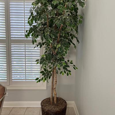 TALL FAUX FICUS TREE