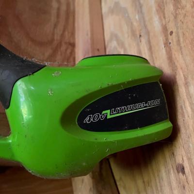 Greenworks 40Z Lithium Ion Pole Saw