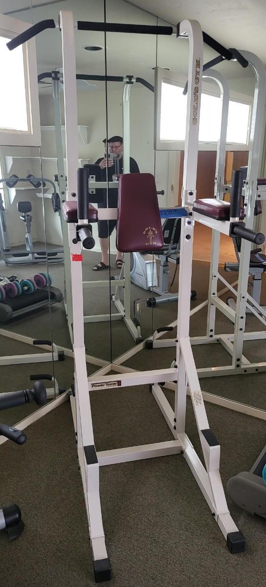 Power tower gold gym sale