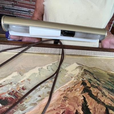 Large Mountain print w/ lamp