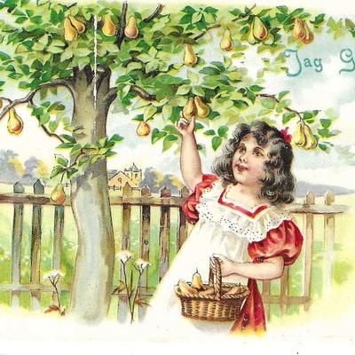 Foreign Greeting Card