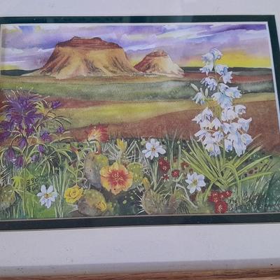 Set of 4 signed and numbered original watercolor framed pictures.