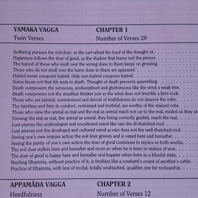 Treasury Of Truth: Illustrated Dhammapada Hardcover Buddha teaching book with sleeve