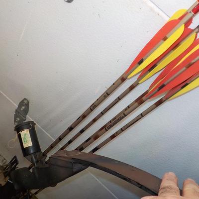 Compound 80, Bow and arrow set with case...est. $130 to $310.