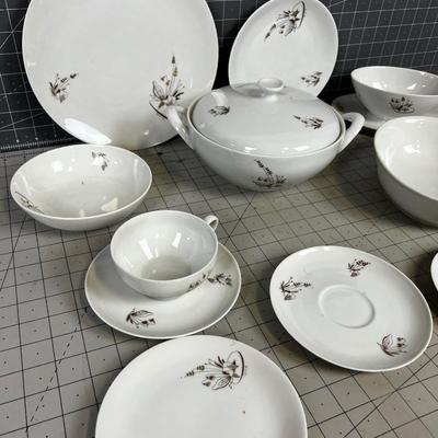 Partial Set of Lily Lagoon Carlton Fine China Made in Germany MCM Design
