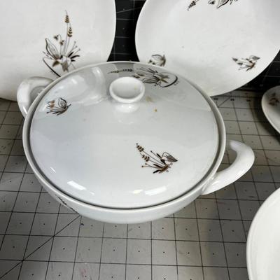 Partial Set of Lily Lagoon Carlton Fine China Made in Germany MCM Design