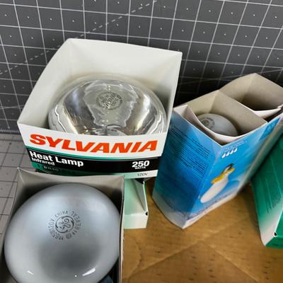 Incandescent Light Bulbs, 