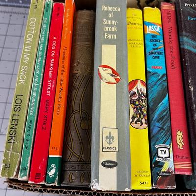 Young Adult & Children's BOOKS From the 1950's & 60's 