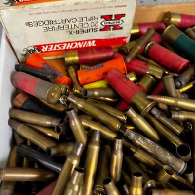 Tray  Ammo some live some just Brass