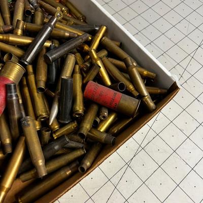 Tray  Ammo some live some just Brass