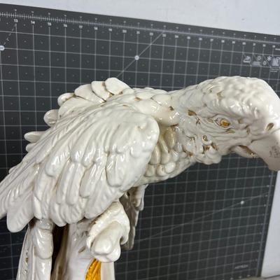 Antique Majolica PARROT, White and Delightsome Parrot