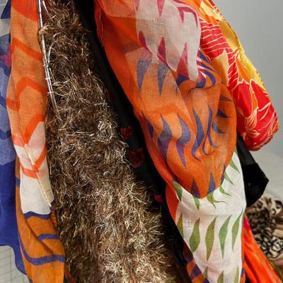 All the Scarves in the House with Scarf Hanger 