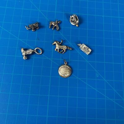 7 Charms Mostly Western Themed 