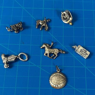 7 Charms Mostly Western Themed 