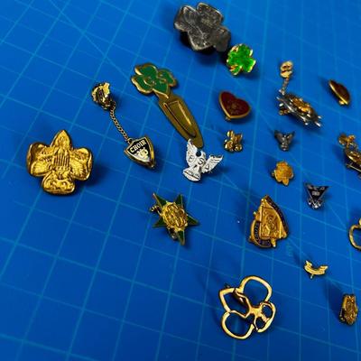 Girl Scout Pin, Collection