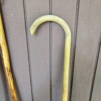 Collection of Wooden Canes w/Stand  (FP-JS)