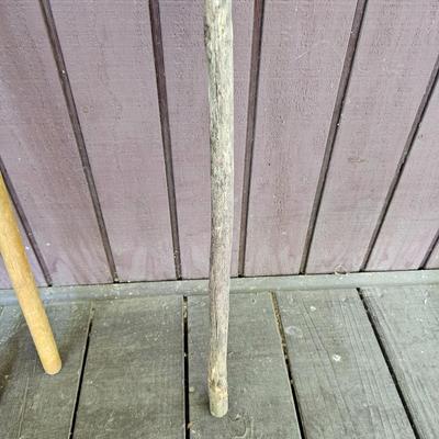Collection of Wooden Canes w/Stand  (FP-JS)