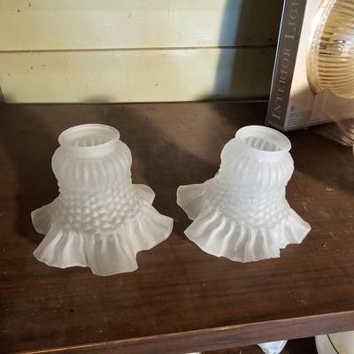 Ceiling/Fan Lights, Globes, Shades + More  (OB3-JS)