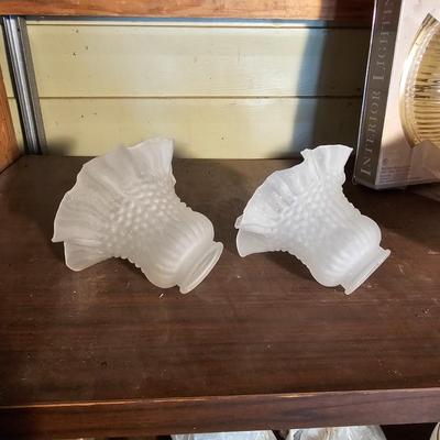 Ceiling/Fan Lights, Globes, Shades + More  (OB3-JS)