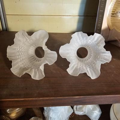 Ceiling/Fan Lights, Globes, Shades + More  (OB3-JS)