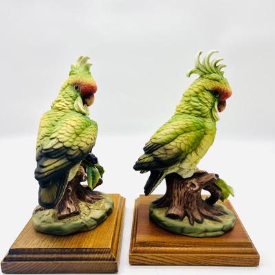 Parakeet & Cockatoo Andrea By SADEK Pair