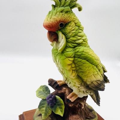 Parakeet & Cockatoo Andrea By SADEK Pair