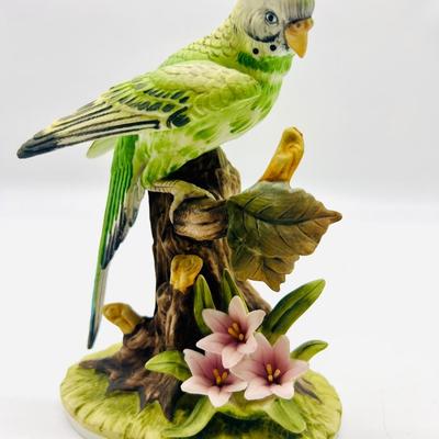 Parakeet & Cockatoo Andrea By SADEK Pair