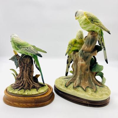 Parakeet & Cockatoo Andrea By SADEK Pair