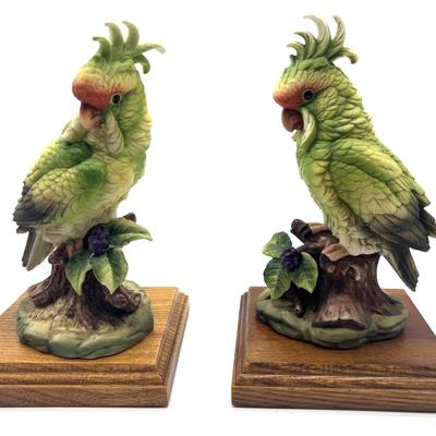 Parakeet & Cockatoo Andrea By SADEK Pair